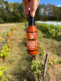 Smoked Serrano Squash Reaper X - Hot Ones Season 29 - Case of 12